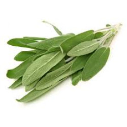 Fresh Herbs, Sage 50g 